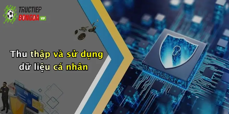 Thu thập và sử dụng dữ liệu cá nhân
