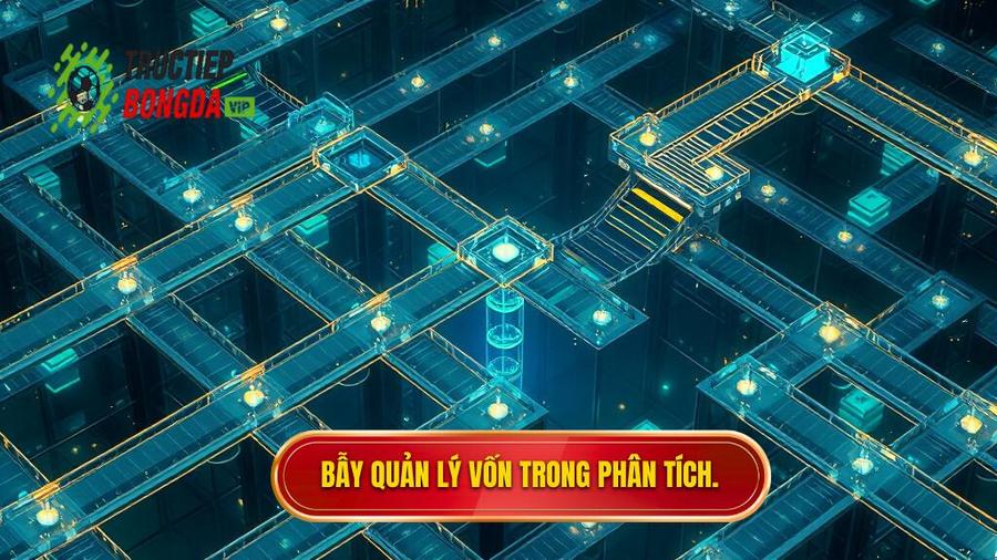 3. Bẫy quản lý vốn trong phân tích.