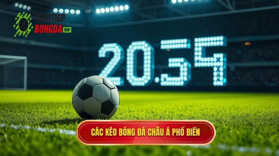 Các con số phổ biến trong Kèo bóng đá Châu Á