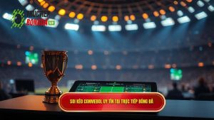 Soi kèo bóng đá các trận đấu CONMEBOL: Cẩm nang từ chuyên gia TRỰC TIẾP BÓNG ĐÁ